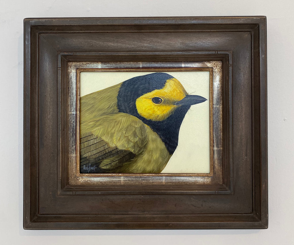 Herb Smith - Hooded Warbler