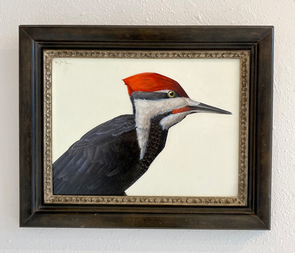 Herb Smith - Pileated Woodpecker