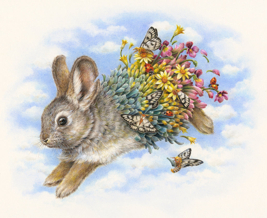 Courtney Brims - ‘Columbia Basin Pygmy Rabbit’