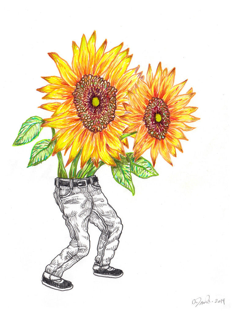 John Casey - Sunflowers