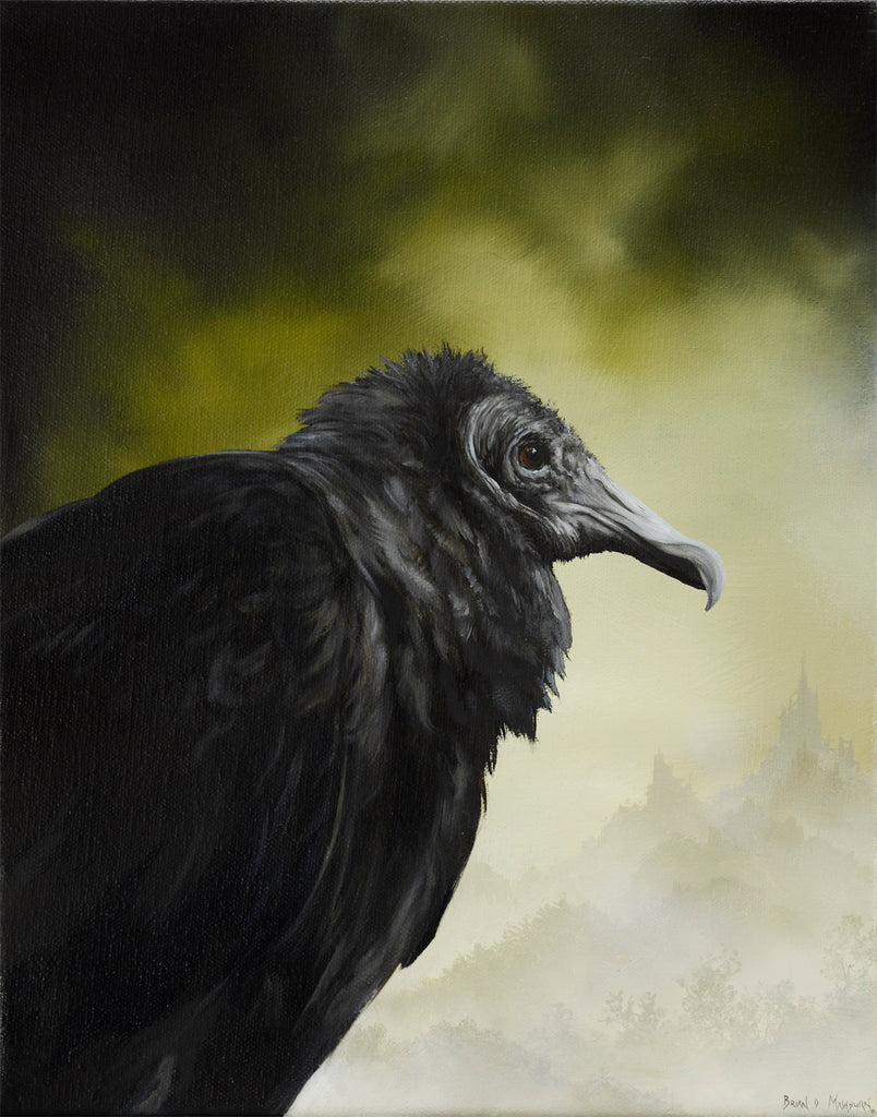 Brian Mashburn - Black Vulture