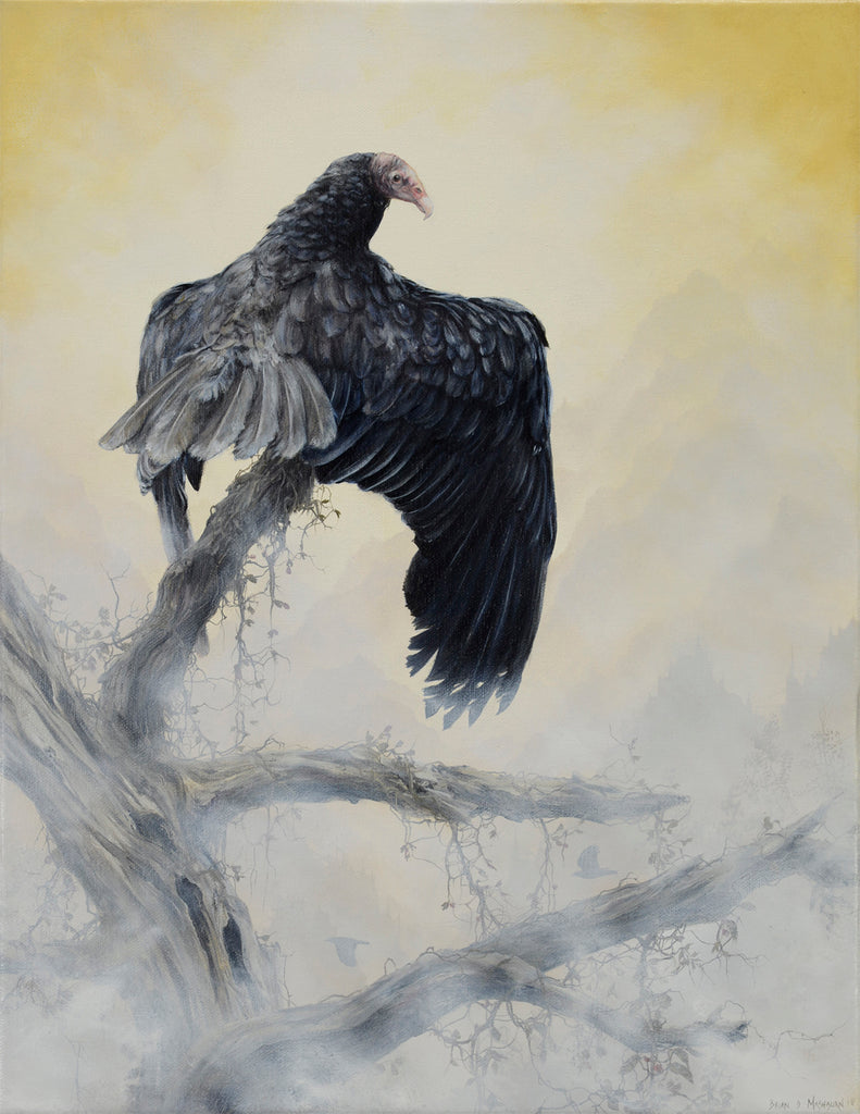 Brian Mashburn - Turkey Vulture Perched