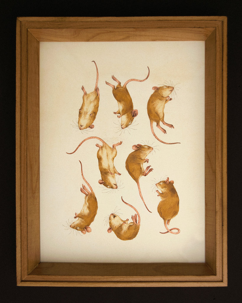 Teagan White - A Considerable Harvest of Mice