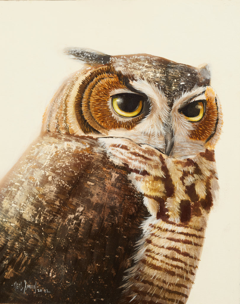 Herb Smith - Great Horned Owl
