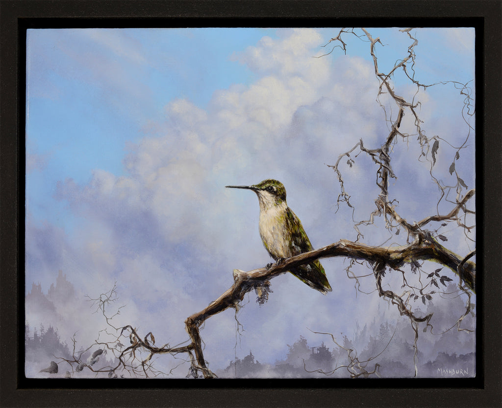Brian Mashburn - Hummingbird Perched on a Vine