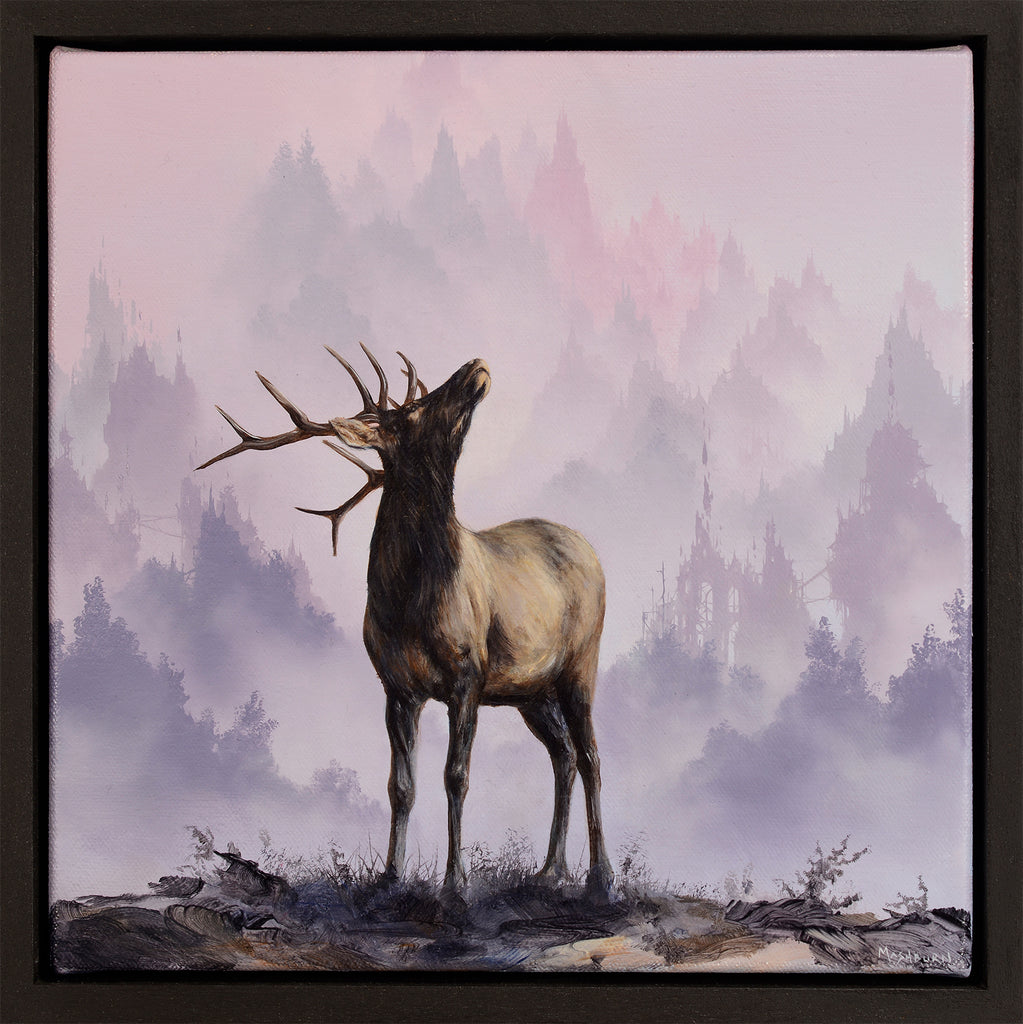 Brian Mashburn - Young Elk Considering a Pink Sky
