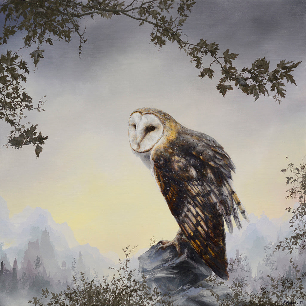Brian Mashburn - Perched Barn Owl Under a Silver Maple
