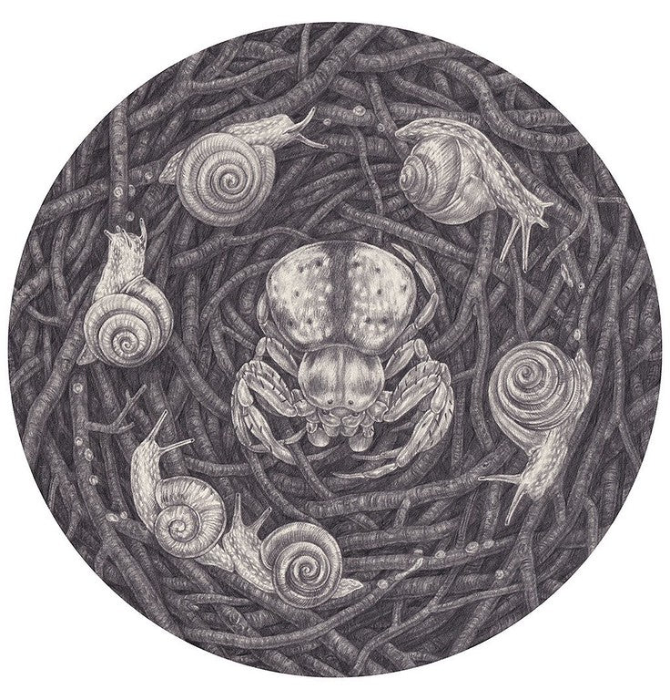 Zoe Keller - "Snail Ritual"